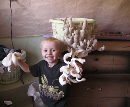 Doctors are using technology to get updates