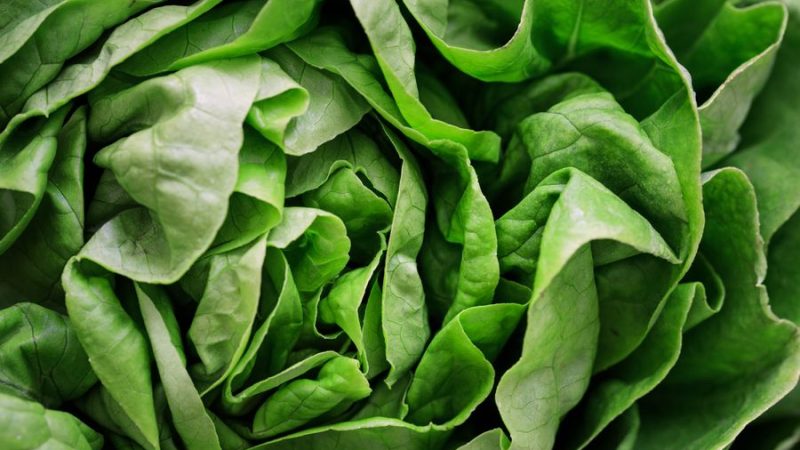 Afyon Salatası Nasıl Yapılır? Afiyan Salatası Tarifi