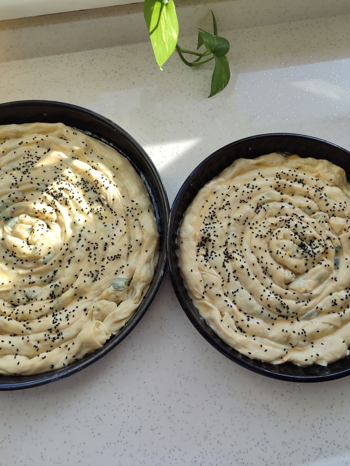 Antalya Ispanaklı Kuru Börek tepside