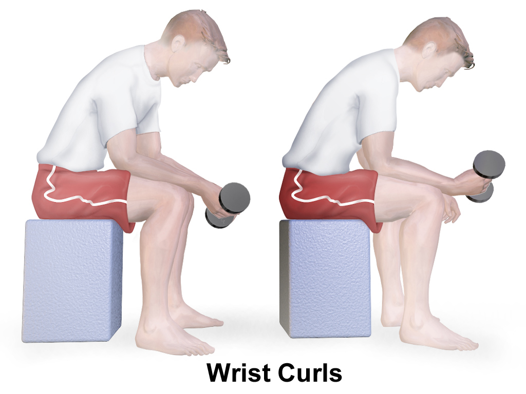 Bilek curl hareketi, ön kol ve bilek kaslarını güçlendirir.