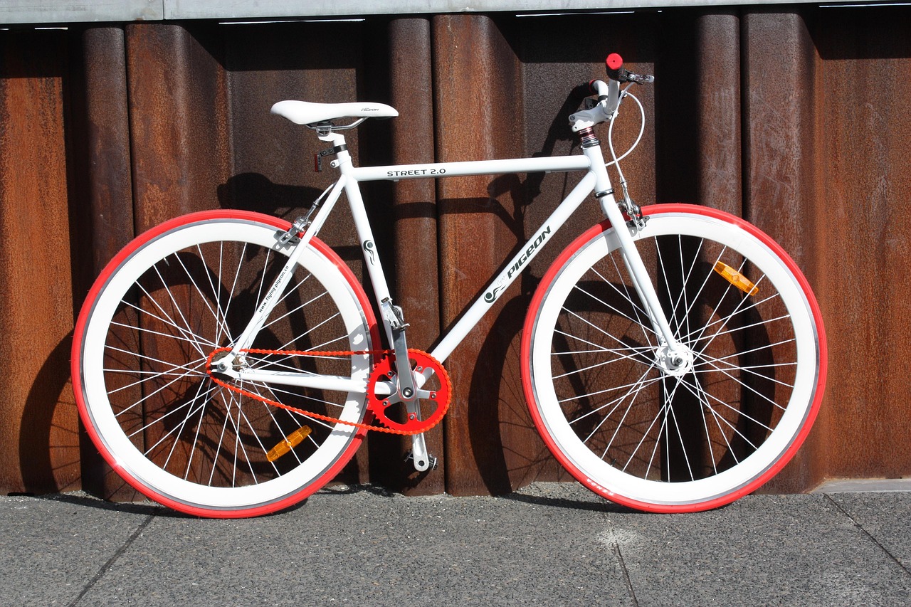 Fixie, sadeliğin saf hâli olan tek dişli bir bisikletdir