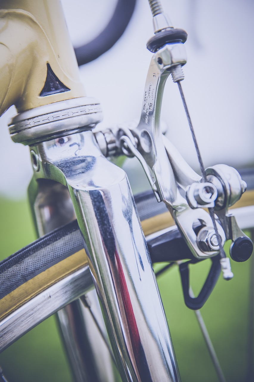 Tek dişli sistem, fixie felsefesinin kalbidir