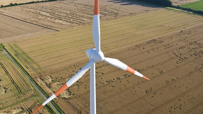 Yenilenebilir Enerji: Rüzgar Türbini Nasıl Yapılır?