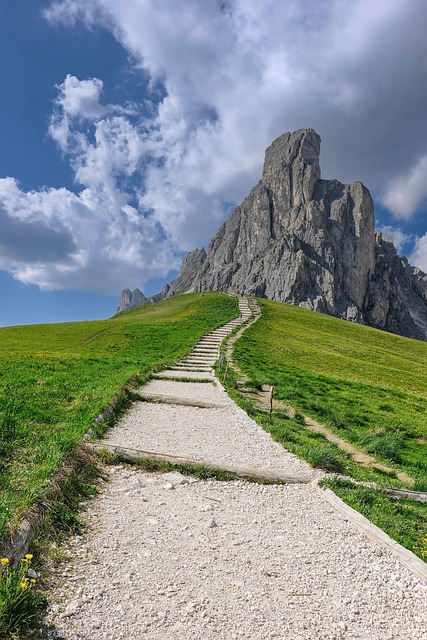 Ormanda uzanan bir trekking patikası