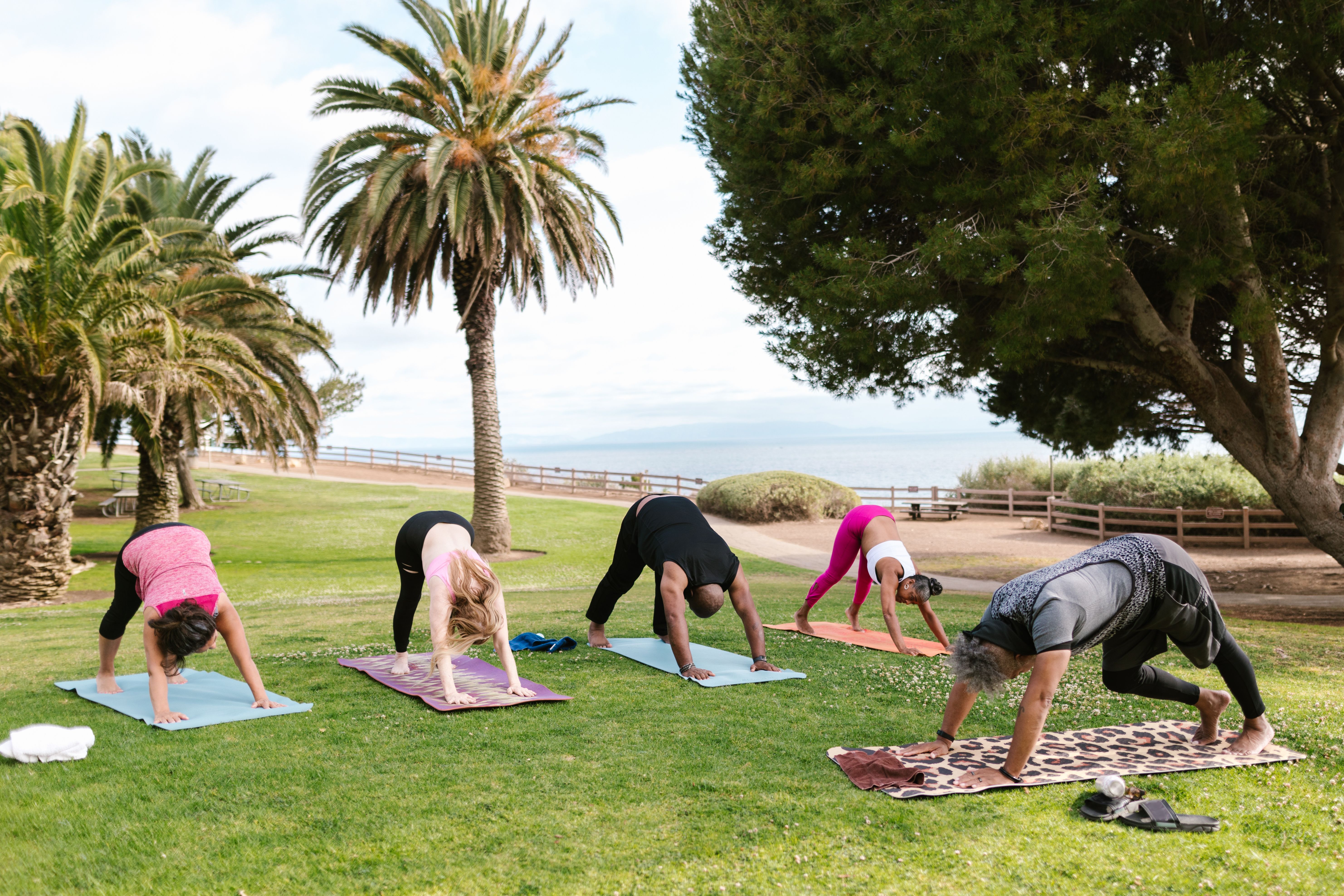 Palmiyeli parkta grup yoga seansı