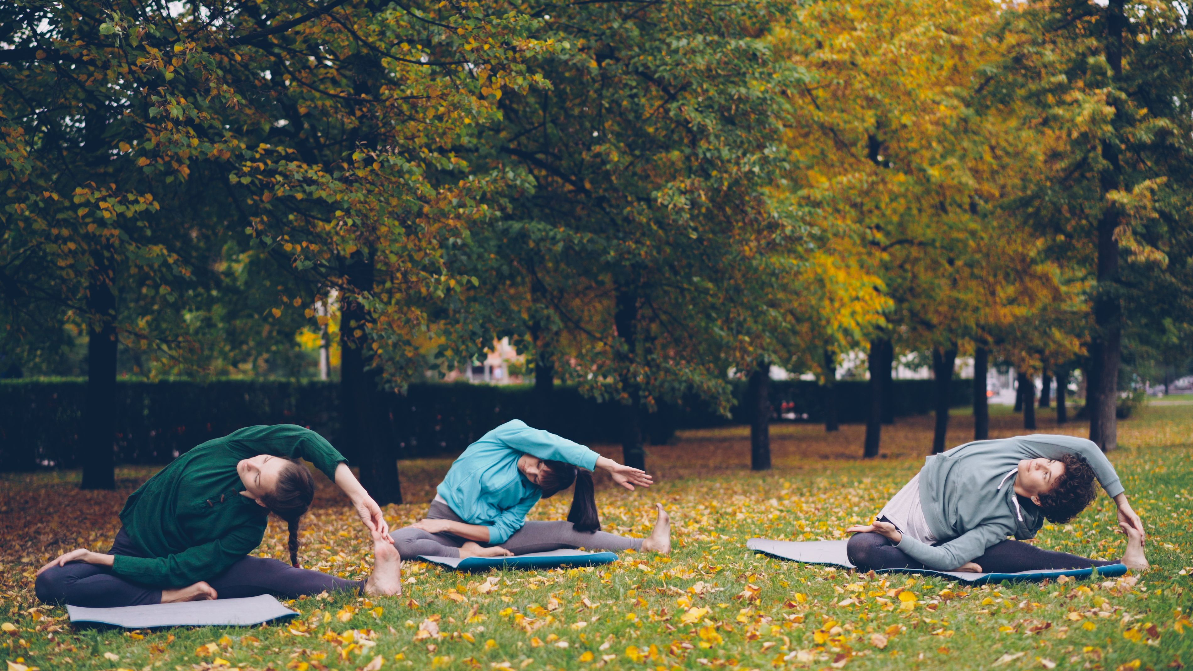 Sonbahar parkında yoga yapan üç kişi