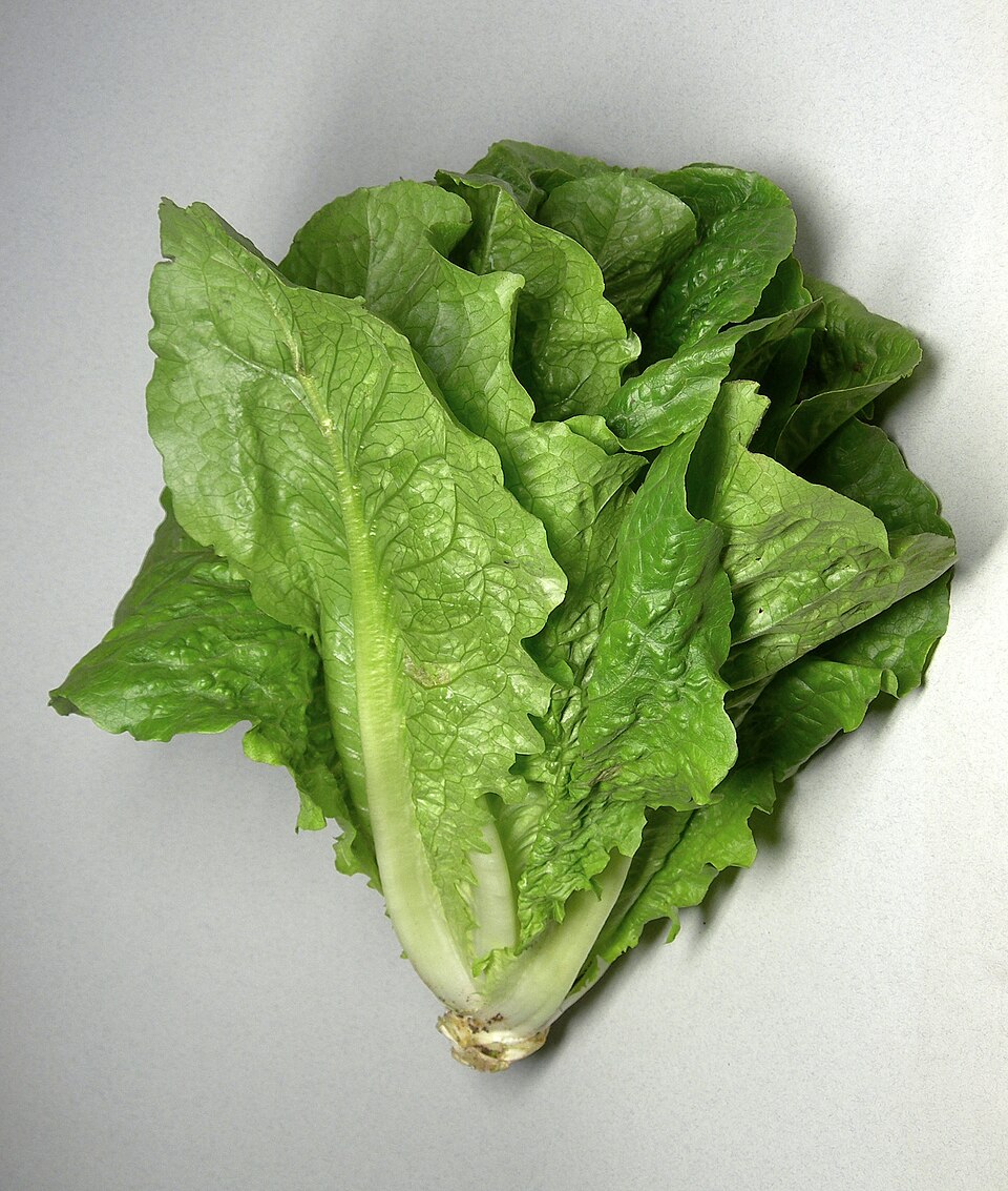 Marul salatası