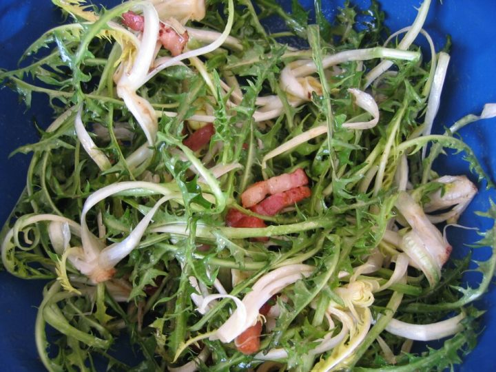 Radika (Hindiba) Salatası Tarifi