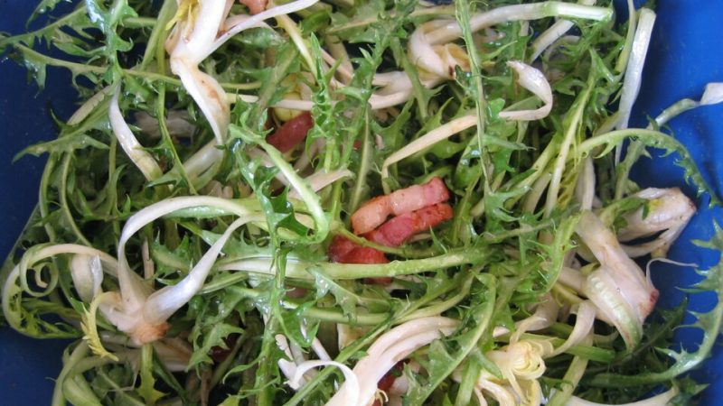 Radika (Hindiba) Salatası Tarifi