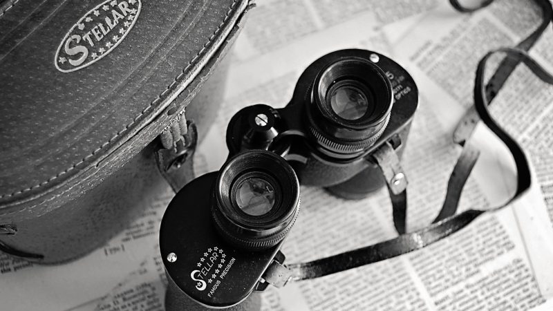 Kuş Gözlemciliğinin (Birdwatching) Sağlığa ve Ruha Faydaları