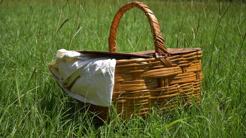 Piknik Yapmanın Sağlığa ve Ruh Sağlığına Faydaları