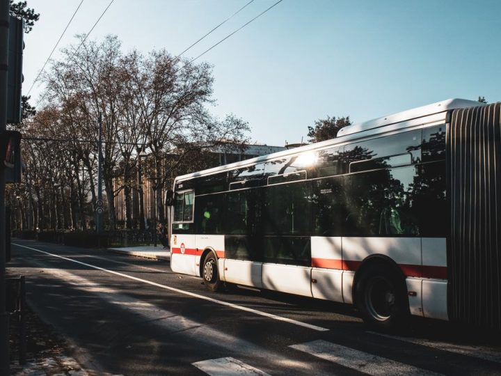 Şehir İçi Otobüs: İç Mekan, Kapı Sistemleri, Motor Yerleşimi ve Markalara Göre Karşılaştırma