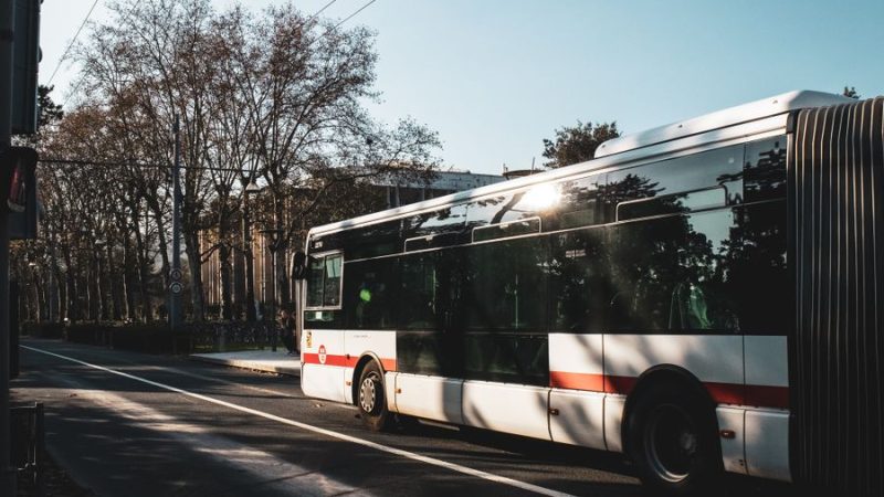 Şehir İçi Otobüs: İç Mekan, Kapı Sistemleri, Motor Yerleşimi ve Markalara Göre Karşılaştırma