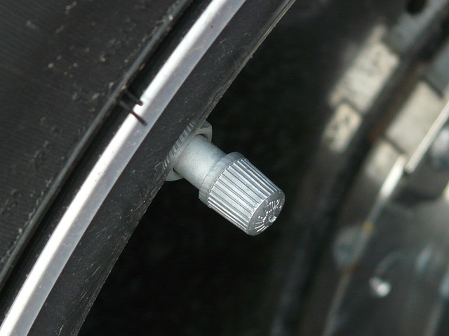 Sibop ve TPMS valfi