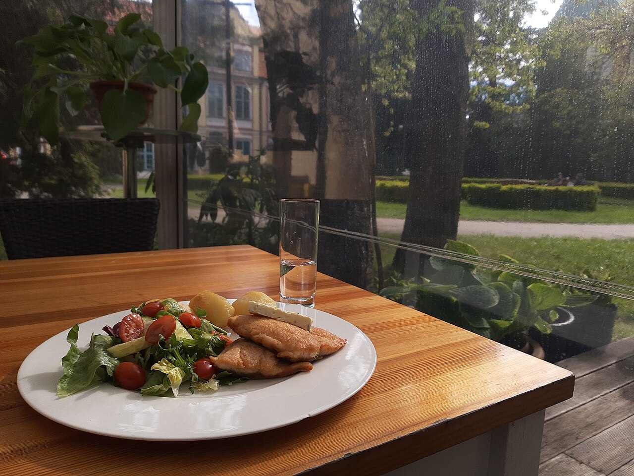 Tavada kızarmış alabalık