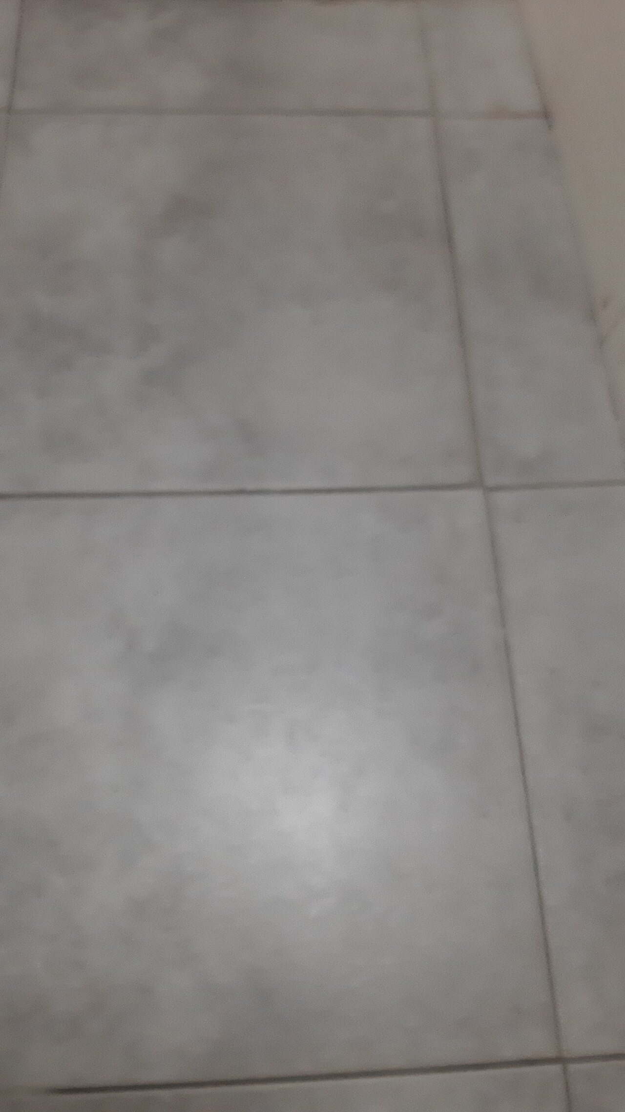 Banyo zemini