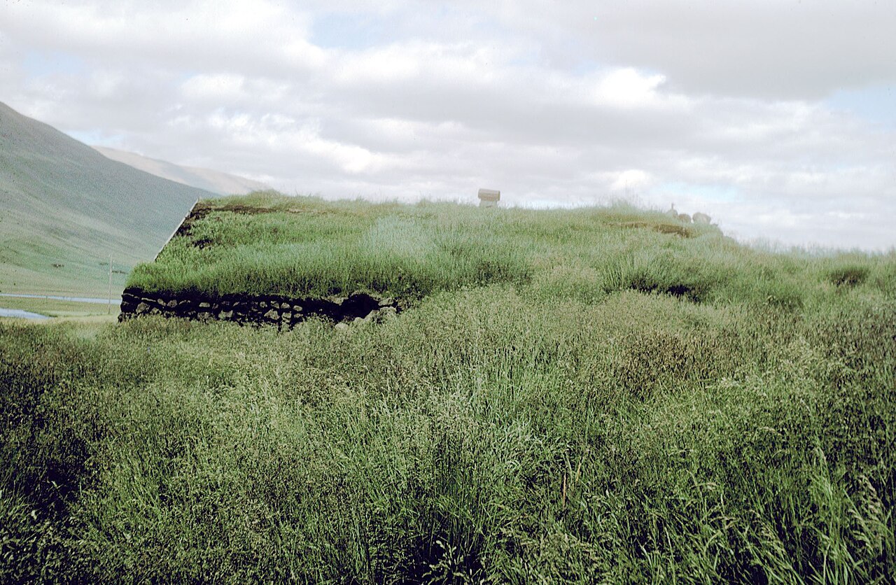 Cimenli (yesil) cati