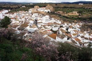 Setenil de las Bodegas kaya altina yaslanmis evler