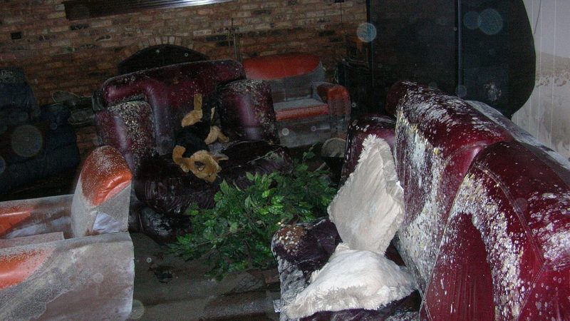Su Baskını ve Acil Su Müdahalesi: Ana Vana, Elektrik Tehlikesi ve Önleme