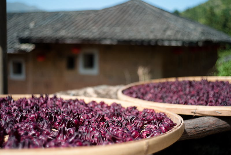 Tulou avlulu ic duzeni