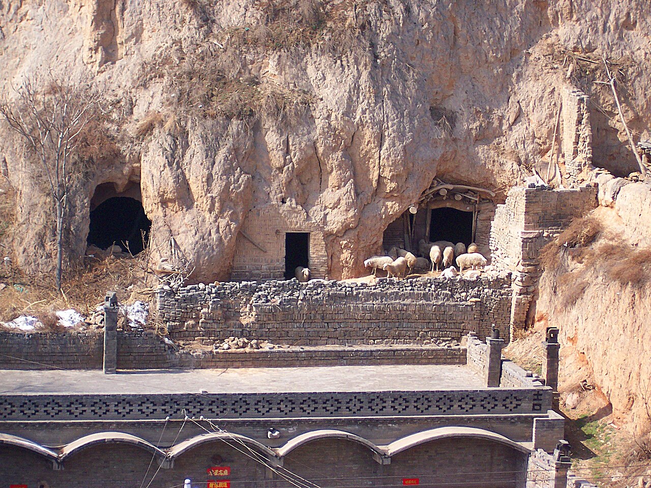 Shanxi los mağara evleri sirasi