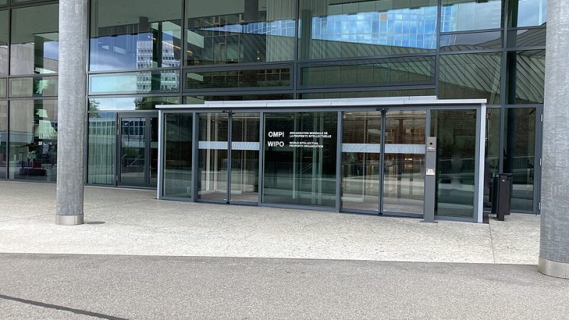 Otomatik Kayar Cam Kapı (Ofis Girişi Tipi) — Çalışma Mantığı ve Motor