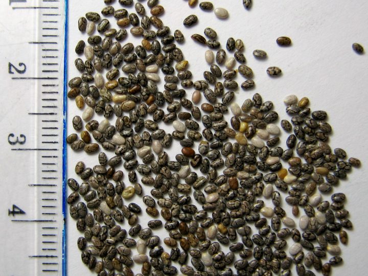 Chia Puding Tarifi: Ballı ve Meyveli