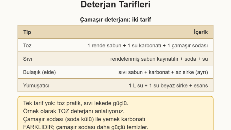Bulaşık ve Çamaşır İçin Doğal Deterjan