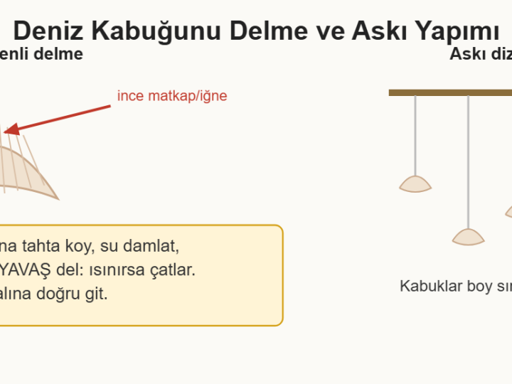 Deniz Kabuğu ve Çakıl Taşıyla Süsleme Fikirleri