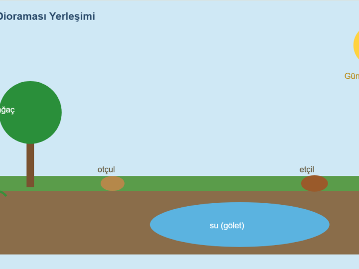 Ekosistem Maketi Nasıl Yapılır? Diorama Model