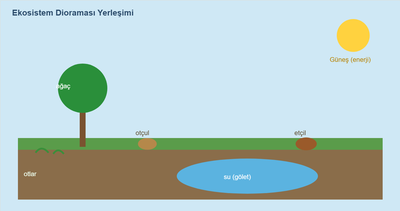 ekosistem maketi Çizim 1: Ekosistem dioraması — güneş, bitki, su ve hayvanlar.