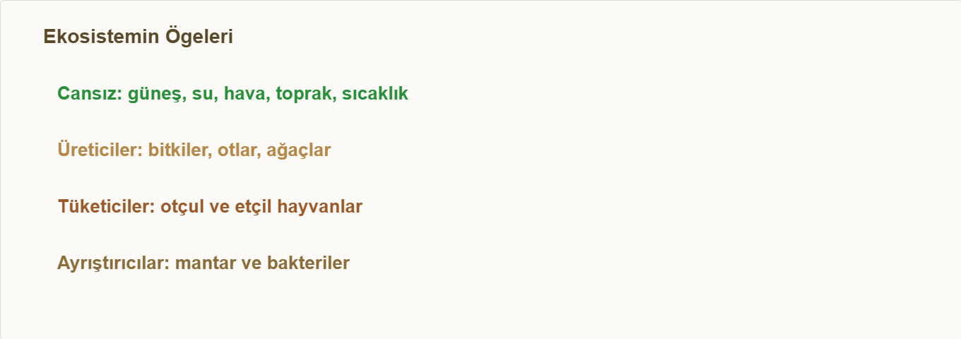 ekosistem maketi Çizim 3: Ekosistemin canlı ve cansız ögeleri.