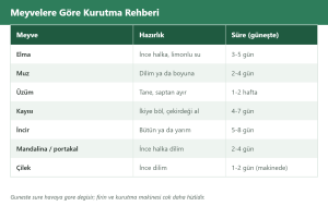 meyve kurutma çizim 1: meyvelere göre kurutma süreleri tablosu