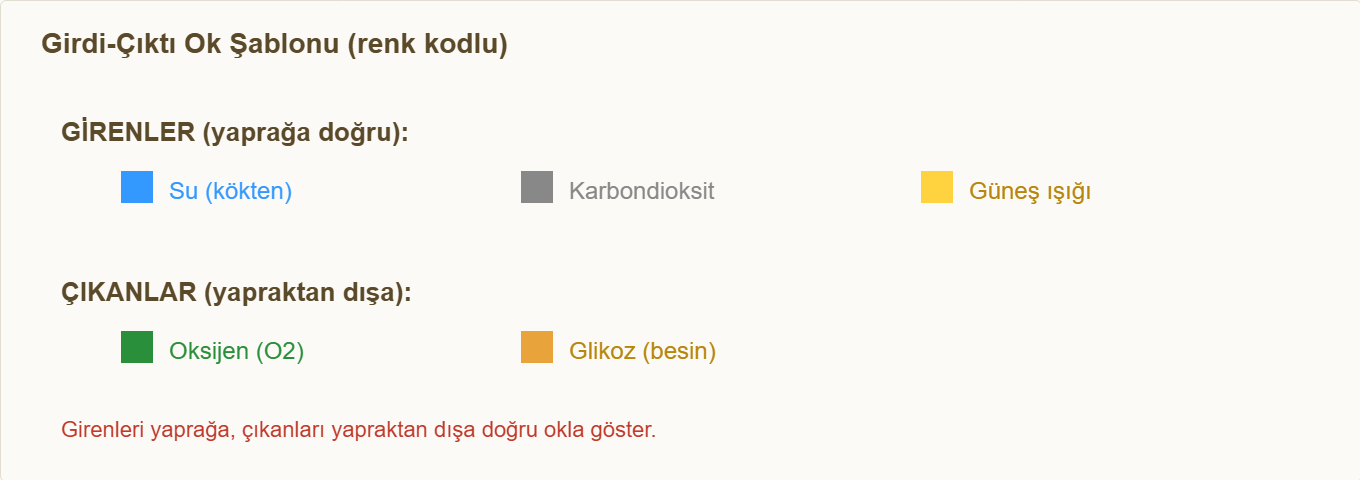 fotosentez maketi Detay 1: Girdi-çıktı oklarının renk kodu ve yönü.
