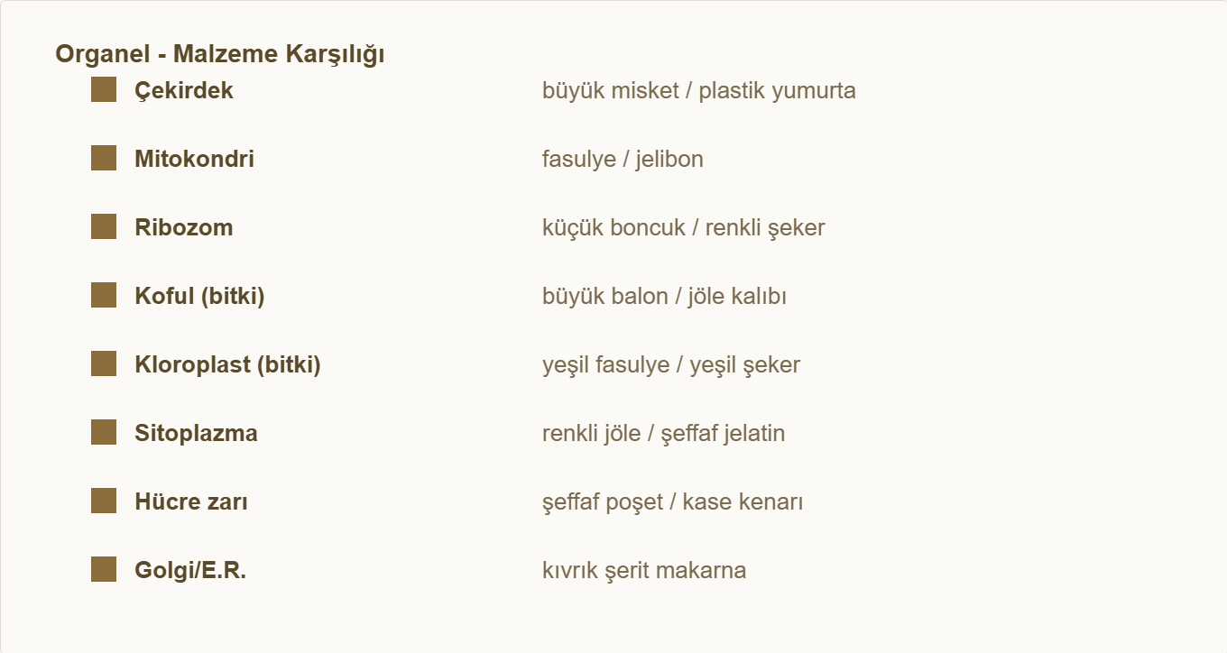 hücre maketi Çizim 3: Organellerin malzeme karşılıkları.
