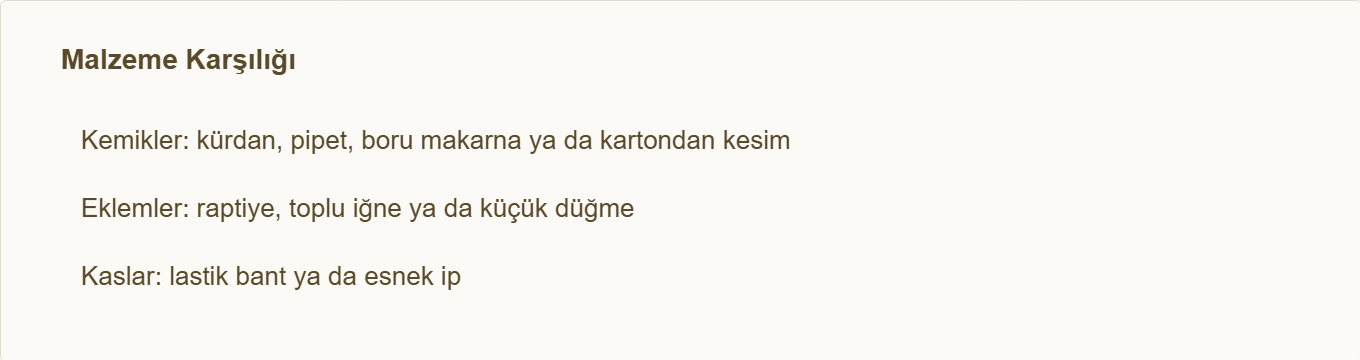 iskelet kas maketi Çizim 3: Kemik, eklem ve kas malzeme karşılıkları.