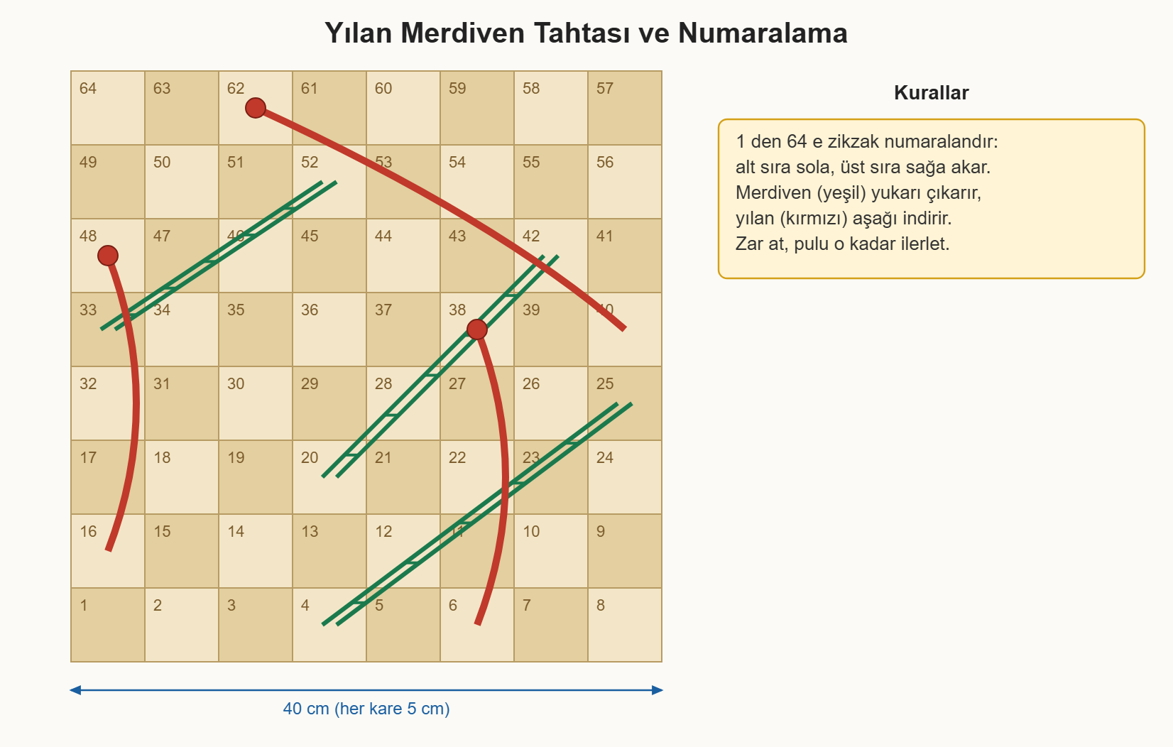 yılan merdiven oyunu çizim 1: 8x8 tahtada zikzak numaralama, merdiven ve yılan yerleşimi.