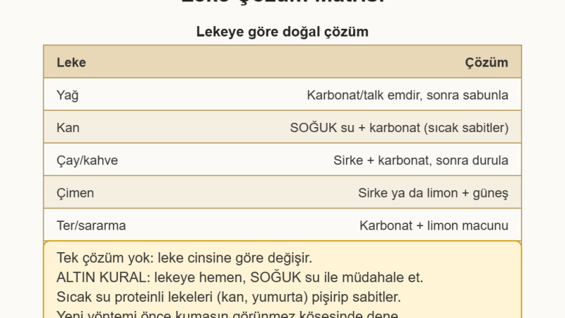 Lekeye Göre Doğal Leke Çıkarıcılar