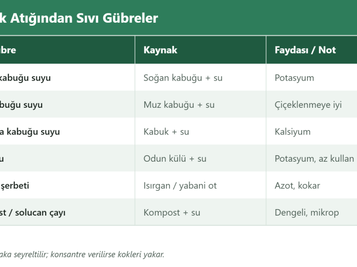 Mutfak Atığından Sıvı Gübre Yapımı