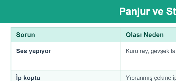 Panjur ve Stor Sorunları