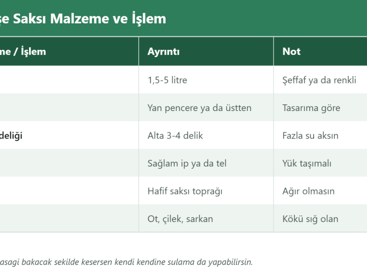 Pet Şişeden Askılı Saksı Yapımı