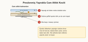 preslenmiş yaprak çizim 1: Yaprağın alt diske sabitlenmesi ve epoksi/cam kapatma sırası.