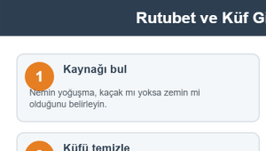 Rutubet ve Küf Giderme Aşamaları