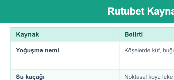 Rutubet Kaynağı ve Çözümü