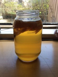 bardakta kombucha çayı