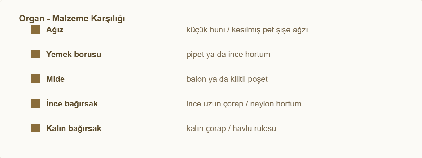 sindirim sistemi maketi Çizim 2: Organların malzeme karşılıkları.