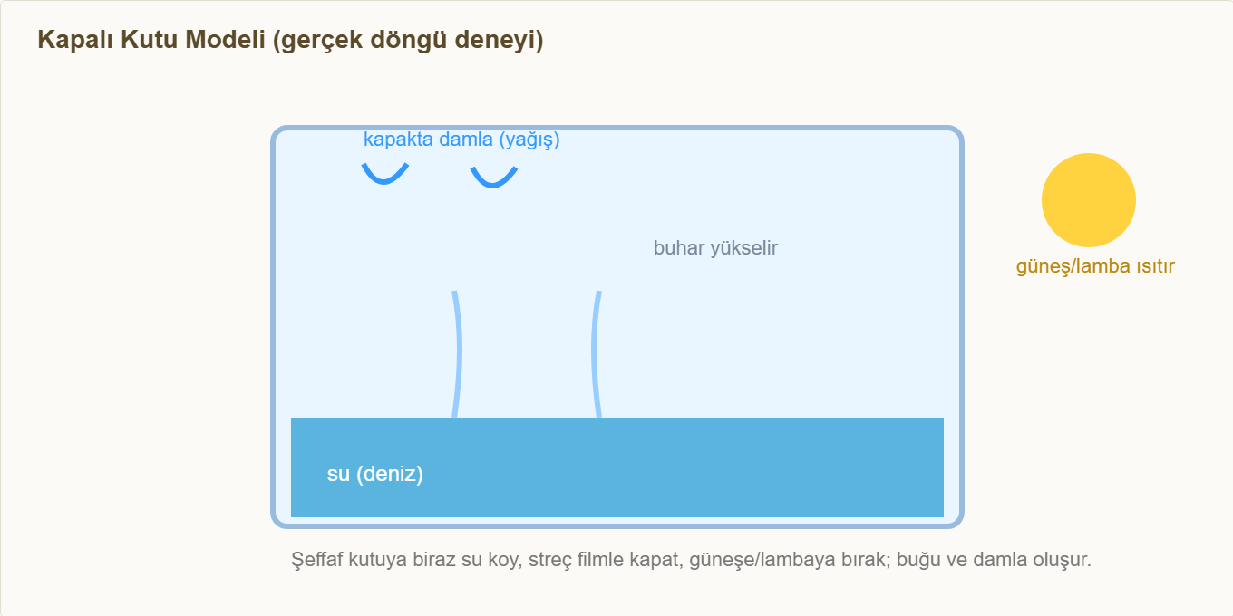 su döngüsü maketi Çizim 2: Kapalı kutu modelinde buharlaşma, yoğuşma ve yağış.