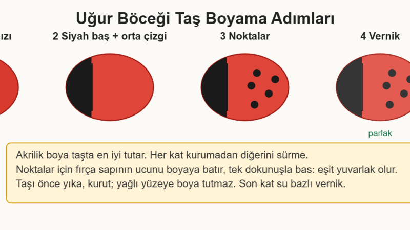 Taş Boyama Sanatı ve Uğur Böceği Taşlar