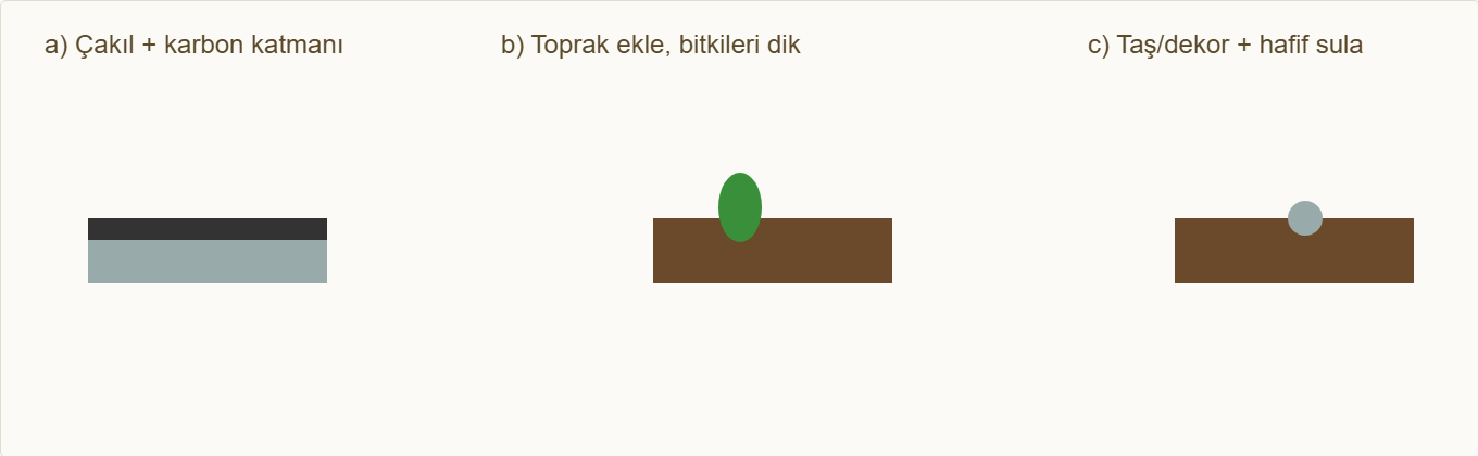 teraryum maketi Çizim 5: Drenaj, toprak, bitki ve dekor adımları.