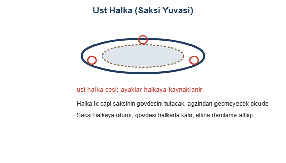 Ust halka saksi yuvasi cizimi